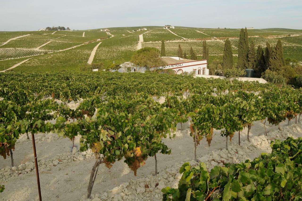 Jerez Vina Santa Petronila Jerez de la Frontera Exterior foto